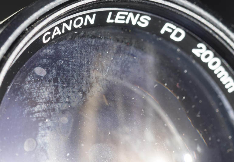 Fungus on Photography Lenses