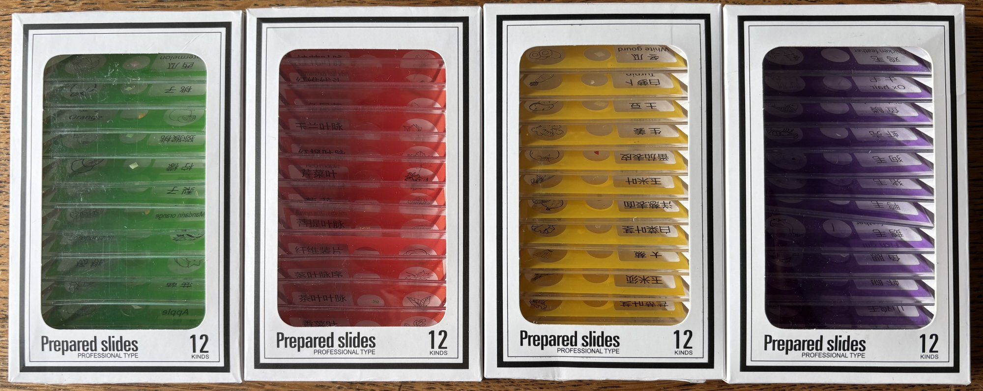 Cainda Prepared Slides X48