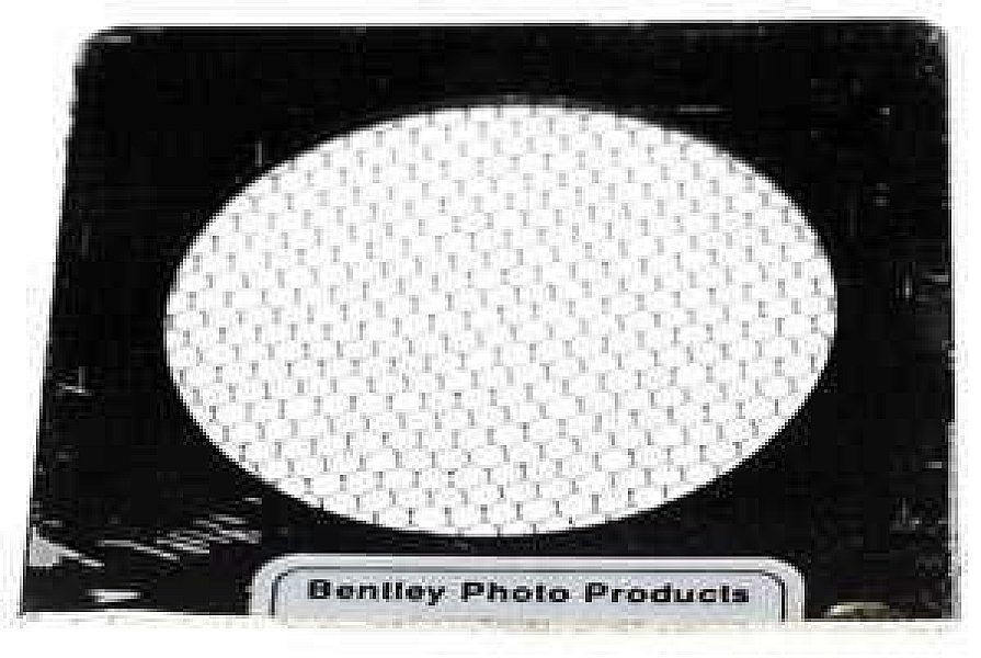 Used Unbranded Wedding net